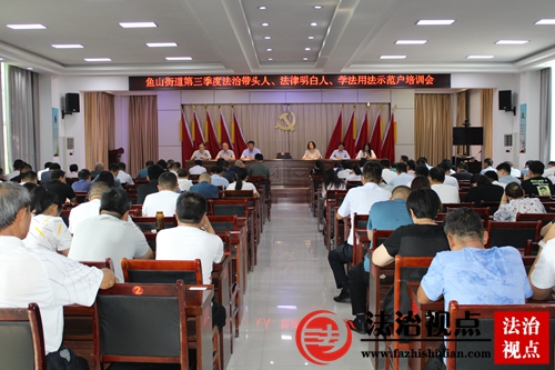 金乡县鱼山街道举办第三季度法治带头人、法律明白人、学法用法示范户专题培训