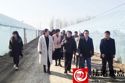 郯城县高峰头镇：田间课堂进大棚 葡萄产业话振兴