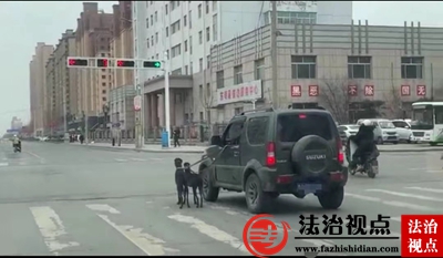 开车牵犬被交警罚款50驾证扣三分