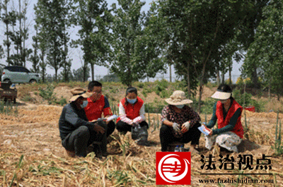 走进田间地头，走进民法典——金乡县总工会开展民法典普法宣传活动