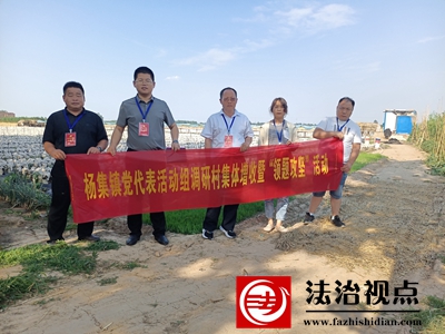 郯城县杨集镇党代表村社调研献良策 助推集体经济“活起来”