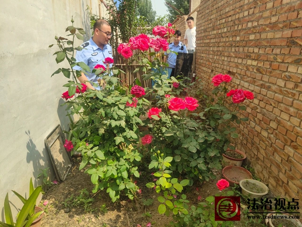 微信图片_2025-05-28_180447_918.jpg