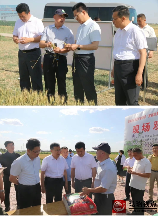wechat_2025-06-05_112139_194.jpg