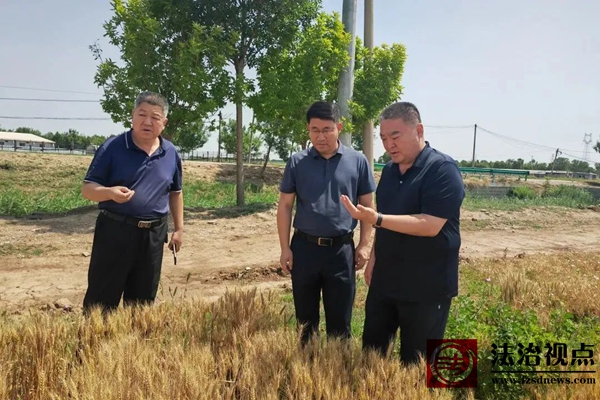 无棣县政协主席张恩传到西小王镇调研“三夏”生产和重点企业运行