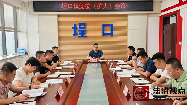 埕口镇召开党委（扩大）会议
