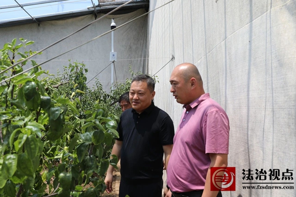 微信图片_2025-06-17_114341_033.jpg