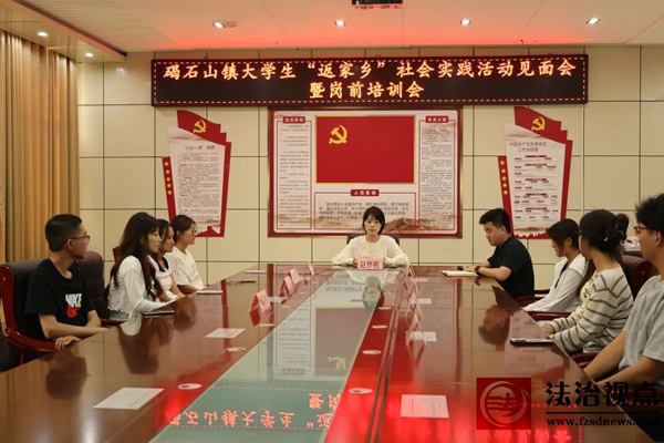 碣石山镇召开2025年大学生暑期“返家乡”社会实践见面会