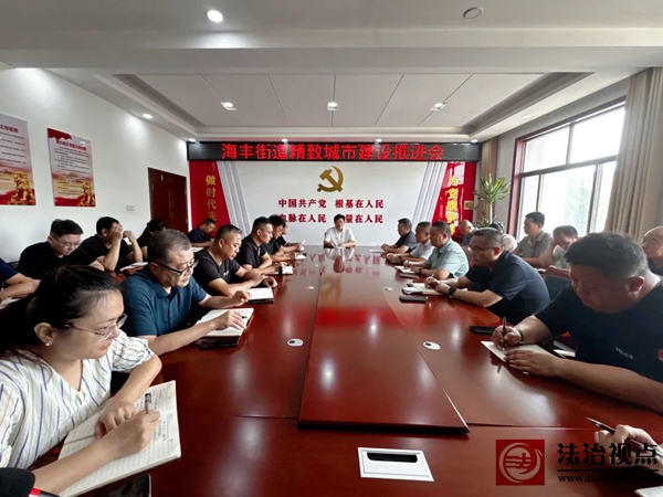 海丰街道组织召开精致城市建设推进会议