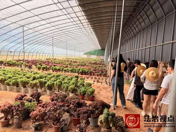 图片2_proc.jpg