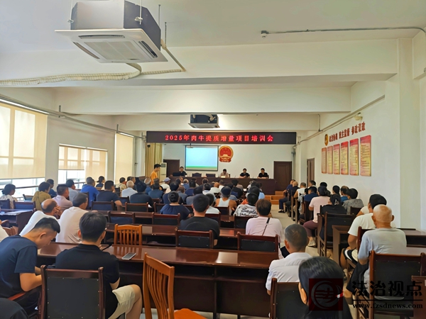 政策精准落地 助农增效增收丨流坡坞镇举办2025年肉牛增量提