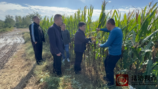海丰街道开展“三秋”生产工作调研