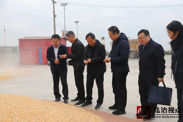 山东农业大学农学院副院长贺明荣带队到下河乡开展技术帮扶工作