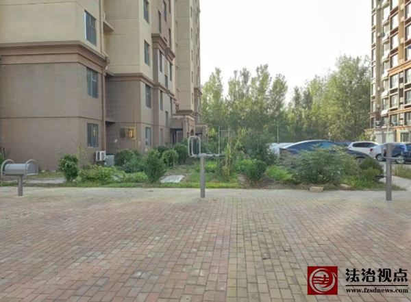 【精致城市 品质海丰】多措并举、靶向发力，构筑精致城市文化生活新画卷