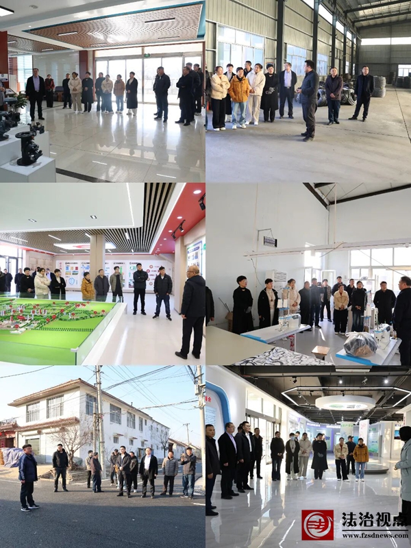 桑落墅镇开展“两代表一委员”专题观摩活动