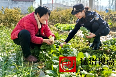 12月8日，枣庄市公安局山亭分局店子派出所辅警在安岭村的菜园里一边帮村民拔菜一边宣讲冬季安全防范常识。.jpg