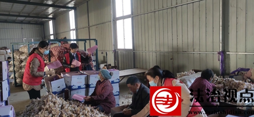 金乡县司法局王丕司法所：送法进企业 普法入人心