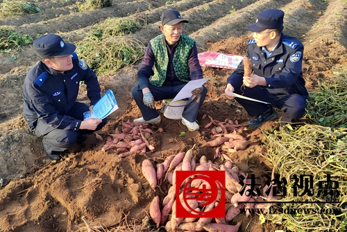 田间宣反诈  平安“种”心间