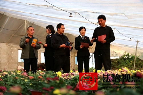 山东郯城法院：服务落地 菊香满园